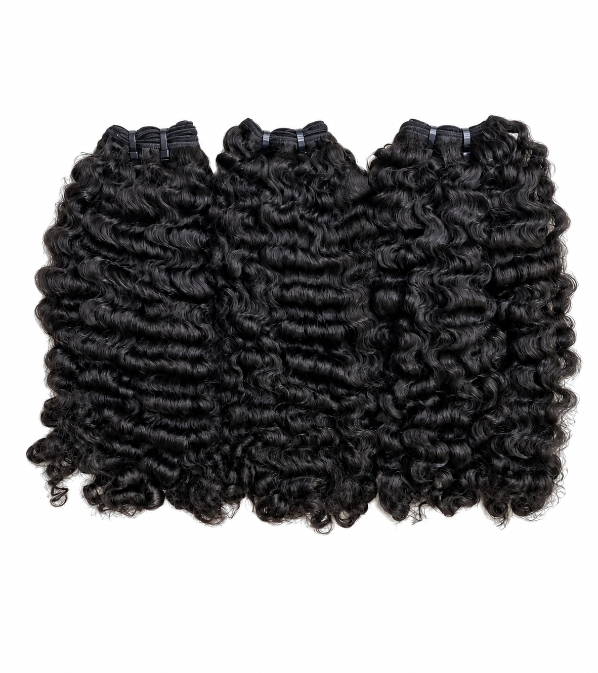 Burmese Curly