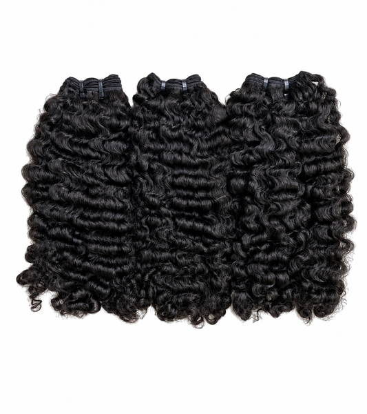 Burmese Curly
